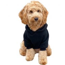 black hoodies for dogs