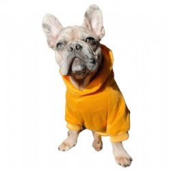 mustard yellow frenchie bulldog hoodies sweatshirts