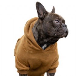 Brown Clothes Hoodie for Frenchie bulldog