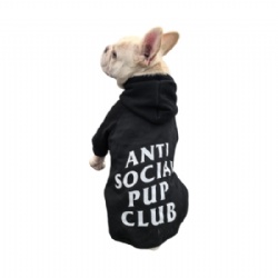 Anti Social Pup Club Dog Hoodie