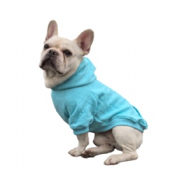 Baby Blue Dog Jumper