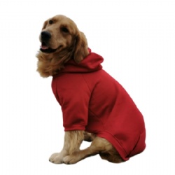 Big Dog Sweatshirt