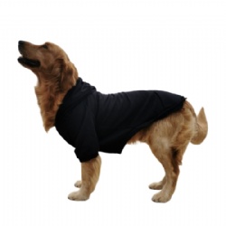 Black Dog Hoodie