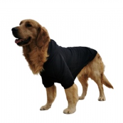 Black Hoodie for Large Dog