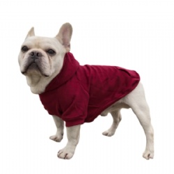 Burgundy Dog Jumper