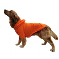Clothes for Big Dogs