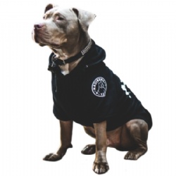 Clothes for Pitbulls