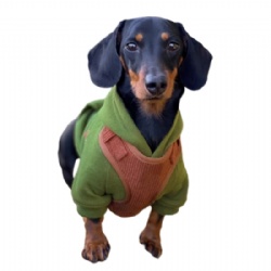 Dachshund Hoodie