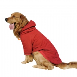 Dark Red Dog Hoodie
