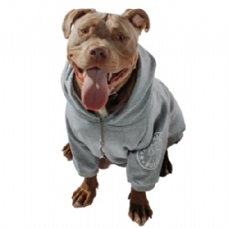Dog Hoodies for Pitbulls