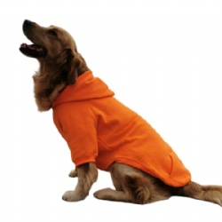 Orange Dog Hoodie