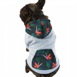 Personalized Dog Hoodie