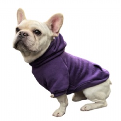 Purple Dog Hoodie