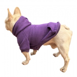 Purple Dog Sweatshirt
