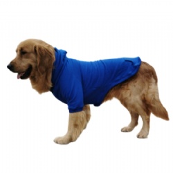Royal Blue Dog Hoodie