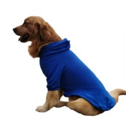Royal Blue Stretchy Dog Hoody