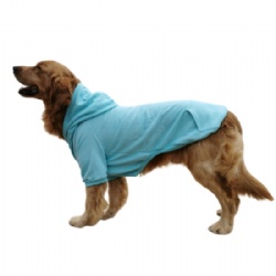 Turquoise Dog Hoodie