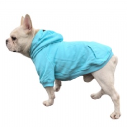 Turquoise Pet Clothes