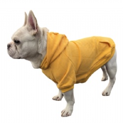 Yellow Dog Hoodie